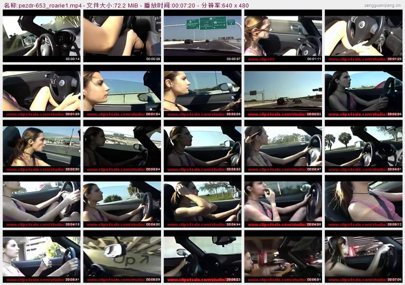 pezdr-653_roarie1